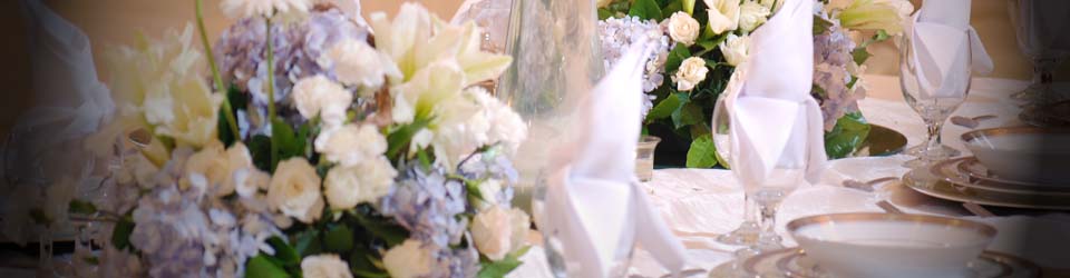 9 Waves Current and Up coming events